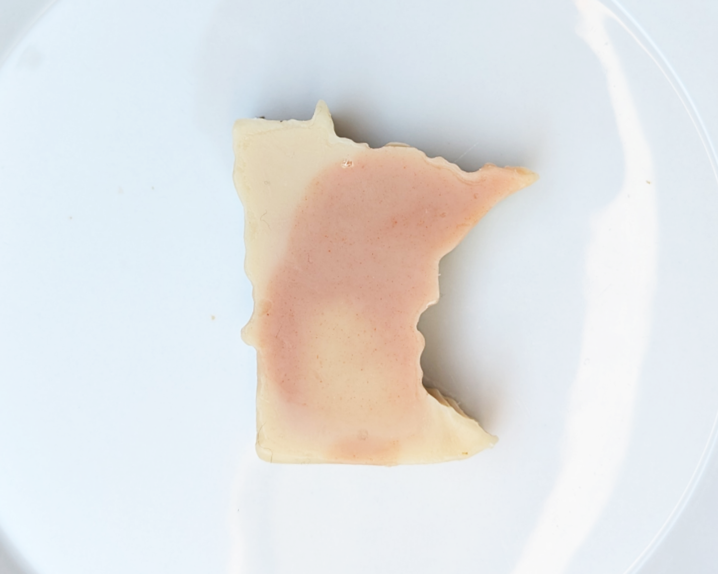 "Mini" Sota Almond Milk Soap image 7