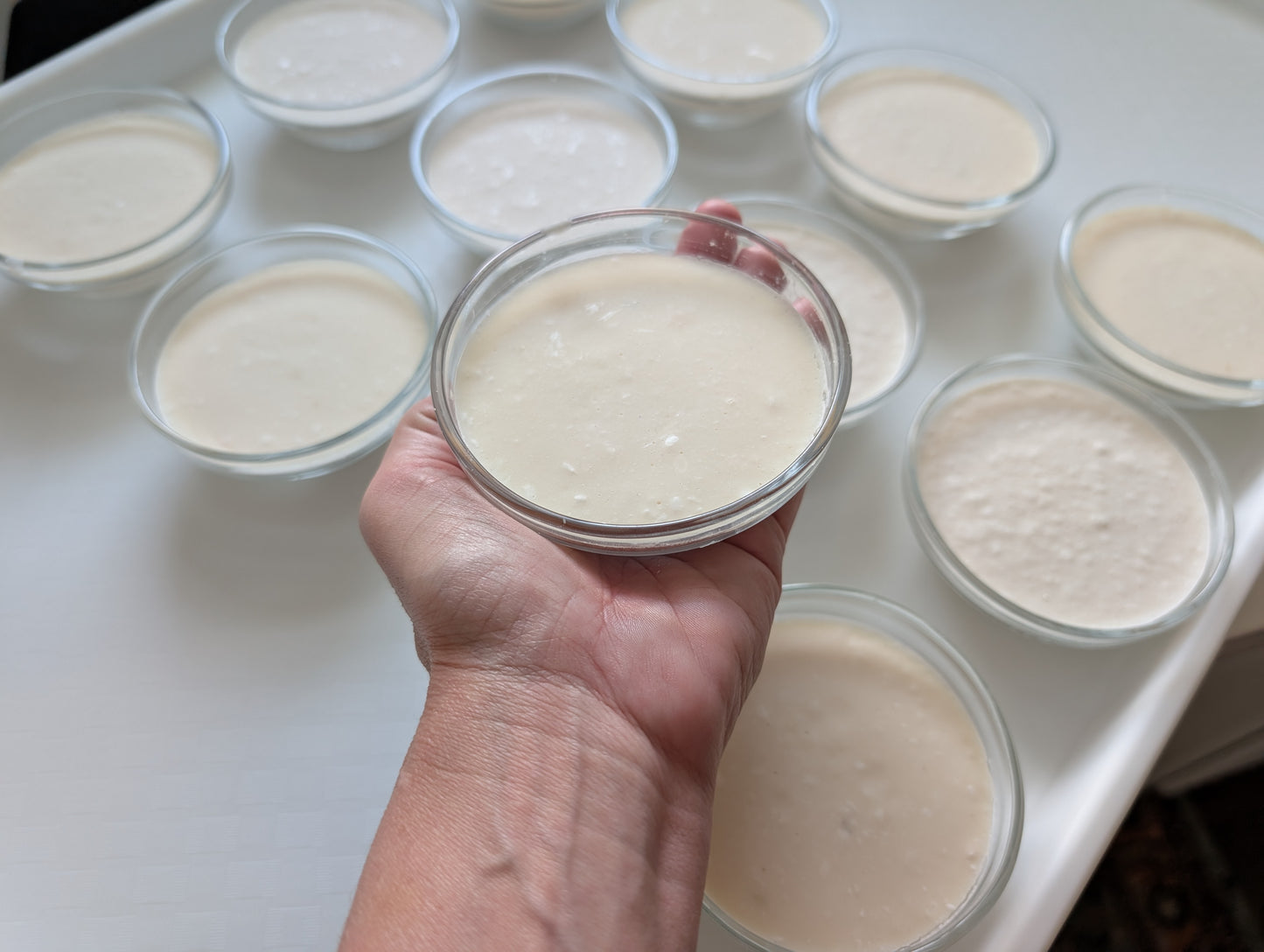 Gwen's zero-waste dish soap