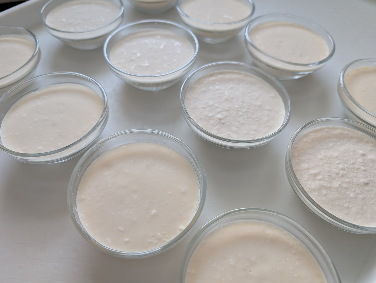 Gwen's zero-waste dish soap